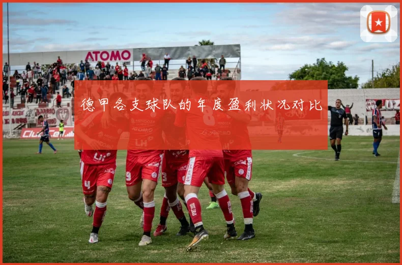 德甲各支球队的年度盈利状况对比