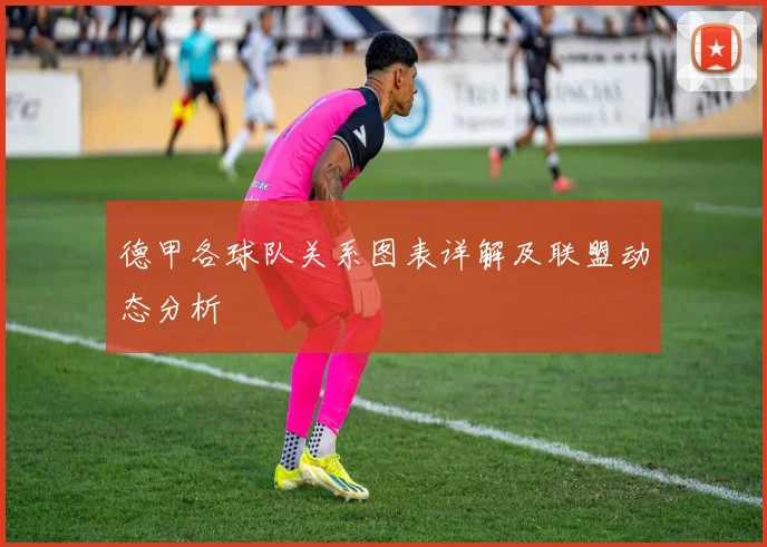 德甲各球队关系图表详解及联盟动态分析