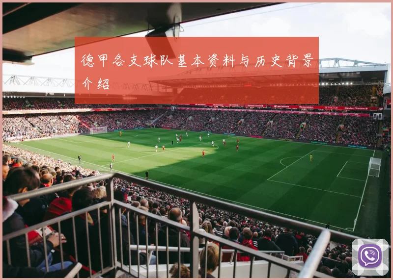 德甲各支球队基本资料与历史背景介绍